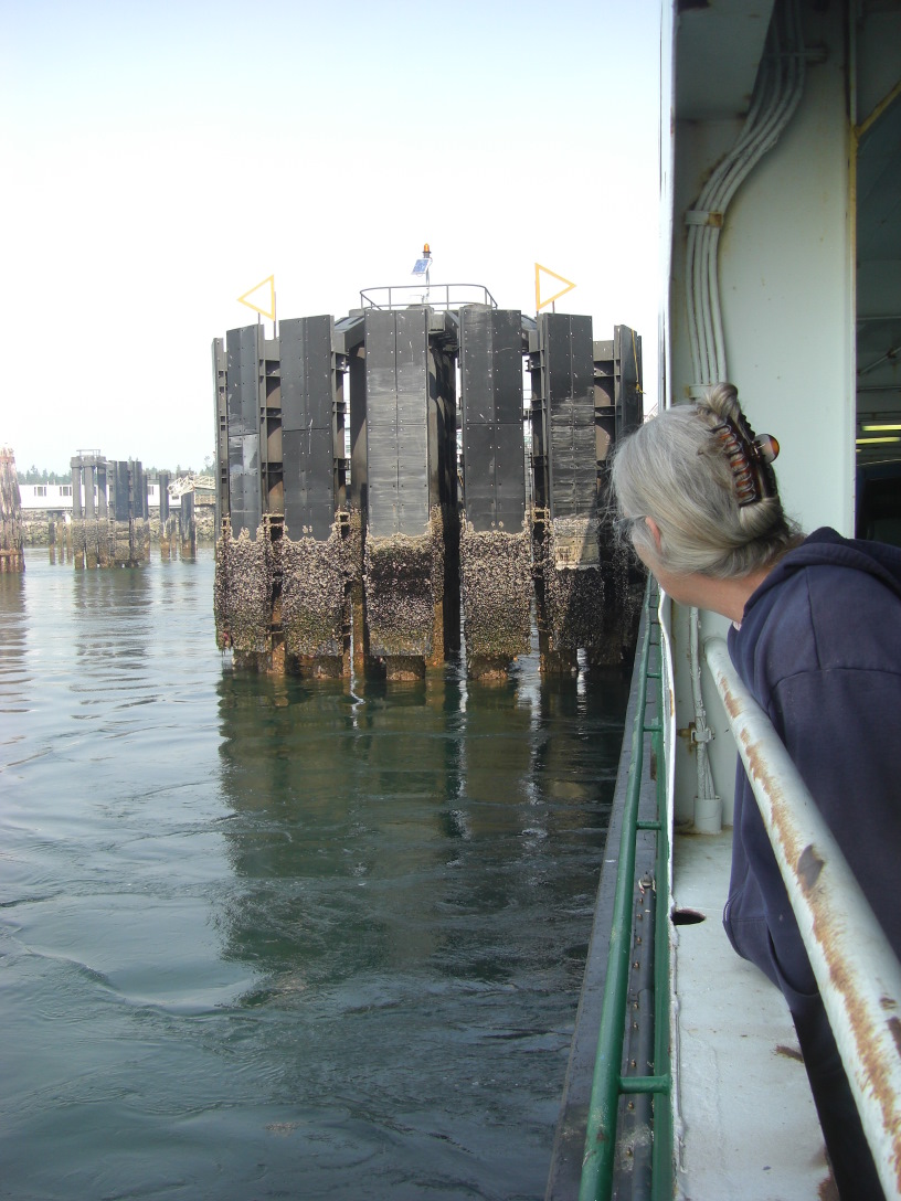 ferry dock pilings as we depart Kingston