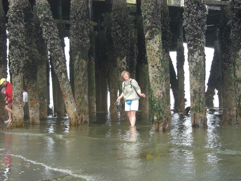 under the pier