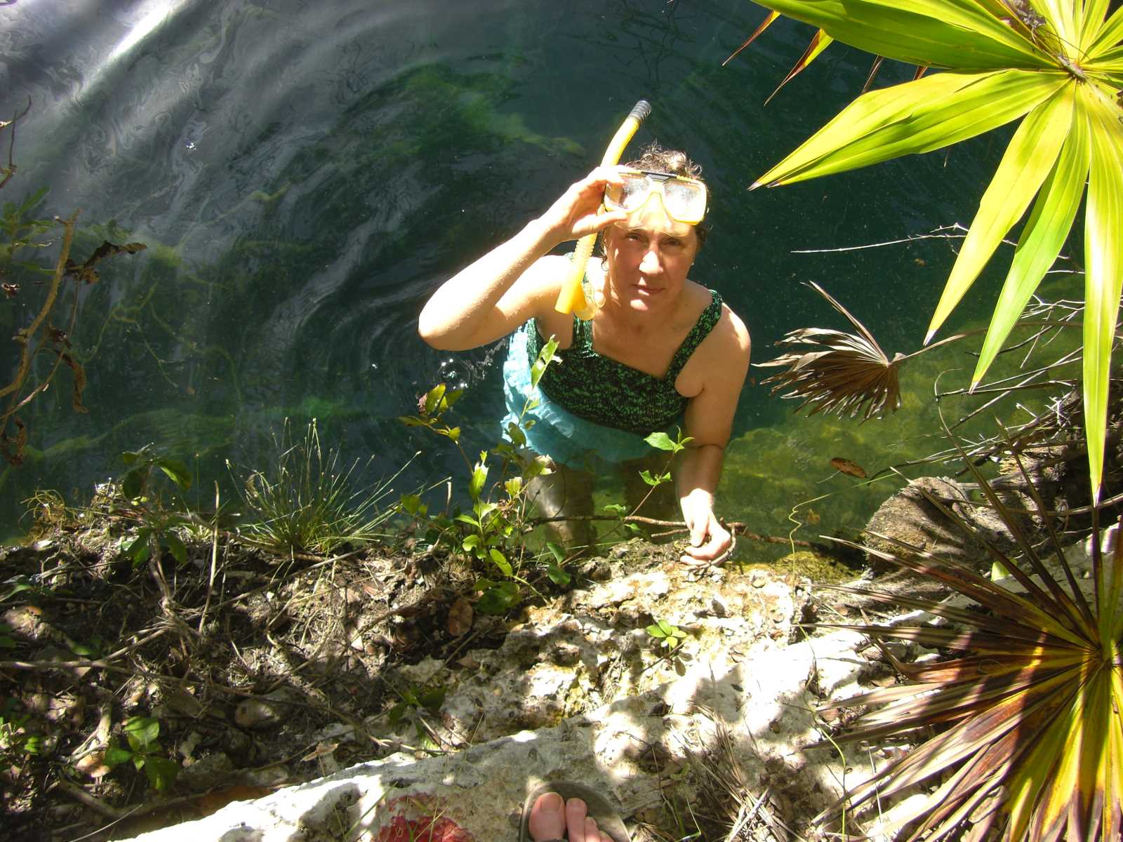 
643 Z–H Susan in Cenote

