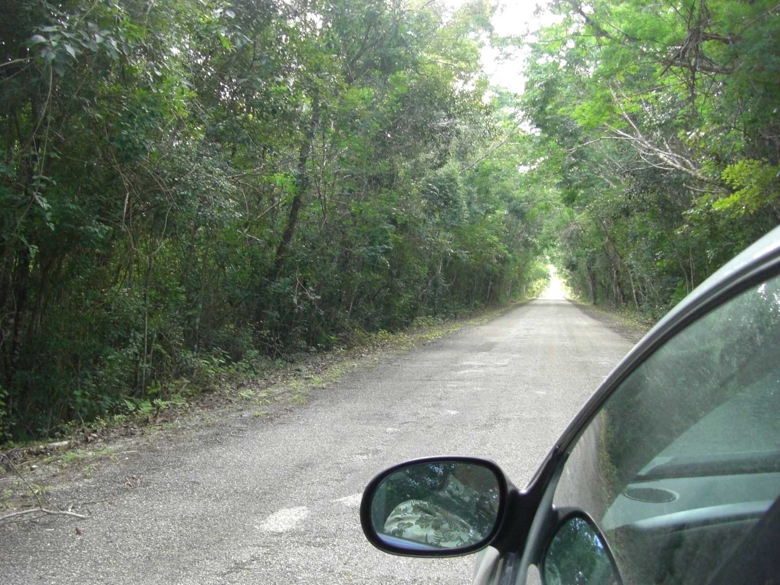 CIMG10
87 road to Calakmul

