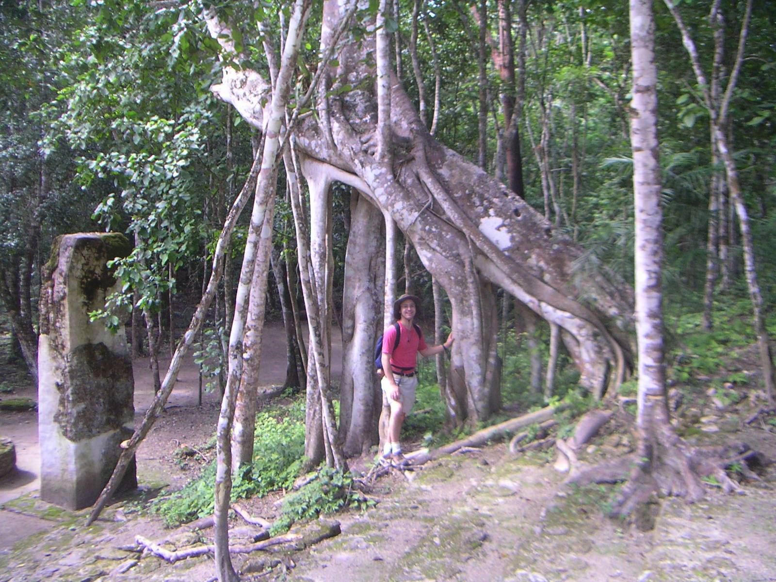 
Pict0007 Josh under tree
