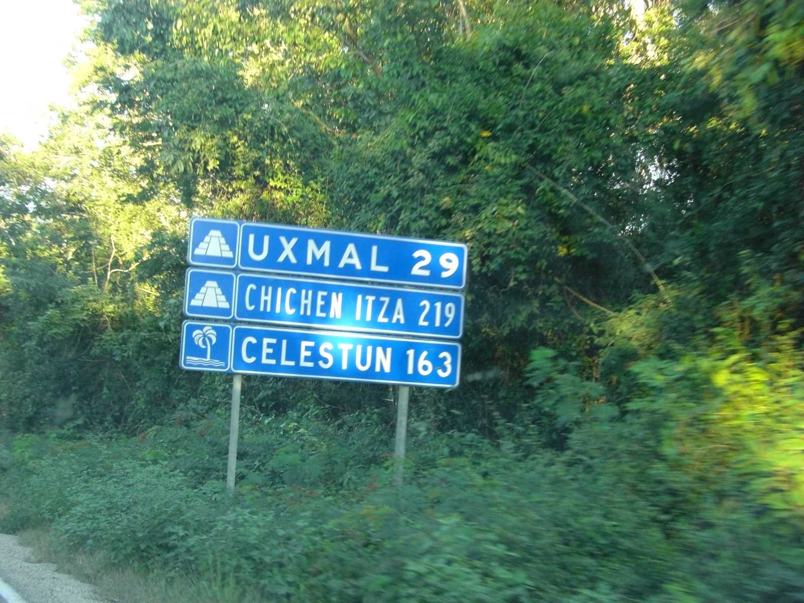 CIMG14
43 roadsign
